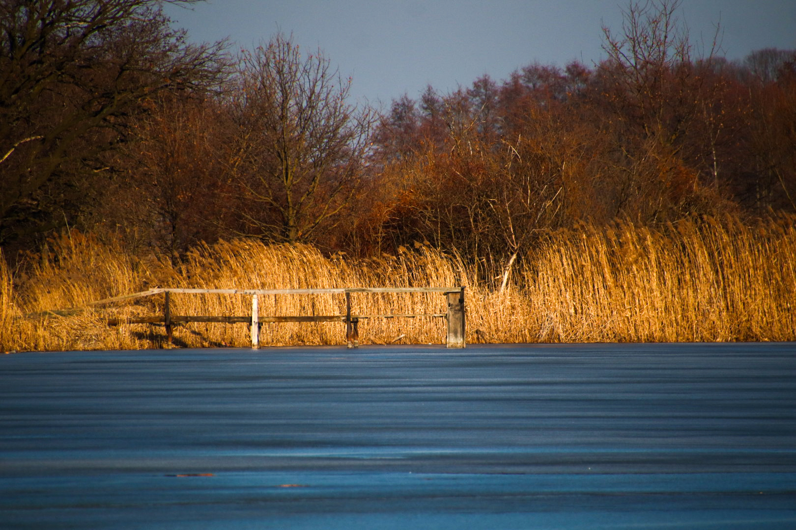 Sesja do Kalendarza - Naturalna fotografia lifestyle
